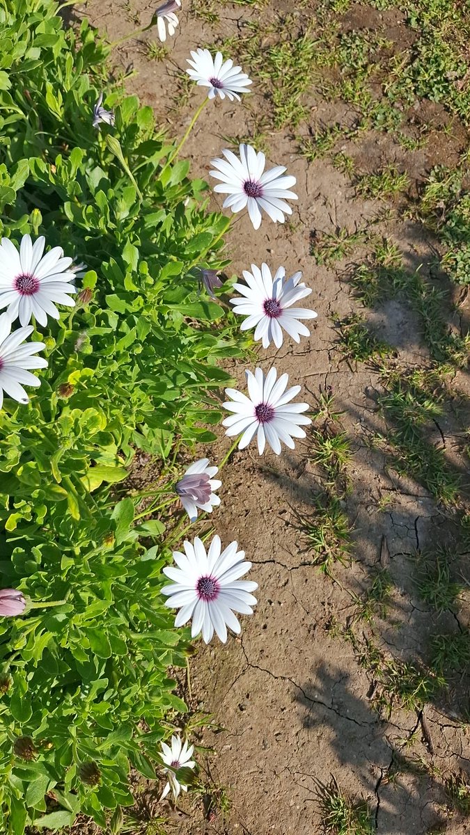 Baskılar, idamlar, özgürlüklerin kısıtlanması… Bu gerçek kolayca yadsınamaz.
Ama dış müdahale, içerideki baskının ilacı olmuyor; hatta daha büyük acılar getiriyor

Ne içerideki baskı meşrudur, ne dışardan gelen müdahale masumdur

Savaşın tarafı olmaz. İnsan hayatının tarafı olur
