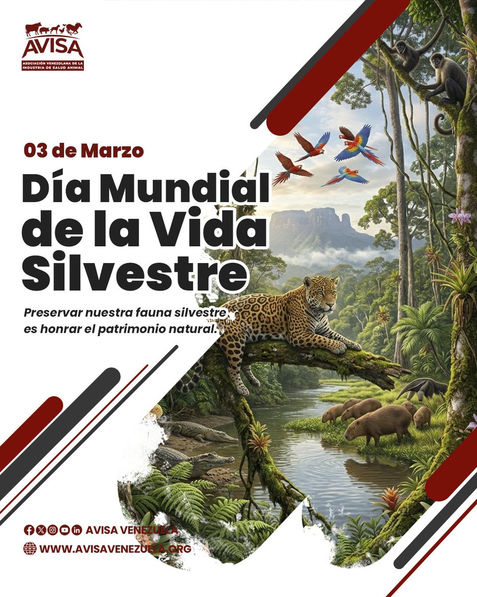 Hoy conmemoramos el #DíaMundialDeLaVidaSilvestre, fecha que marca la firma del tratado CITES en 1973.

Venezuela, un país megadiverso, tiene la responsabilidad de proteger su fauna y flora para garantizar el equilibrio ecológico. La preservación es futuro. 

#AVISAVenezuela