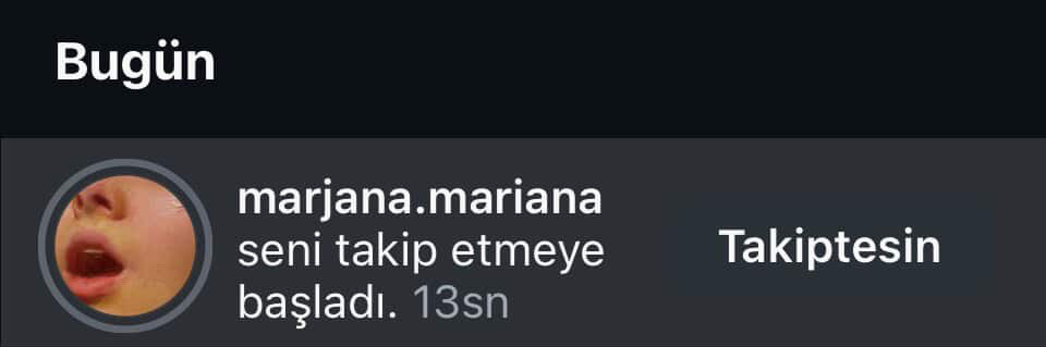 bu karı fotolarını storylerini falan çok beğeniyom diye bana istek atmıştı