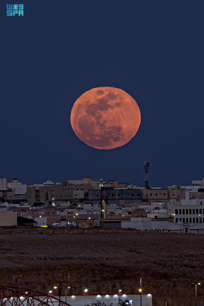 واس العلمي tweet media