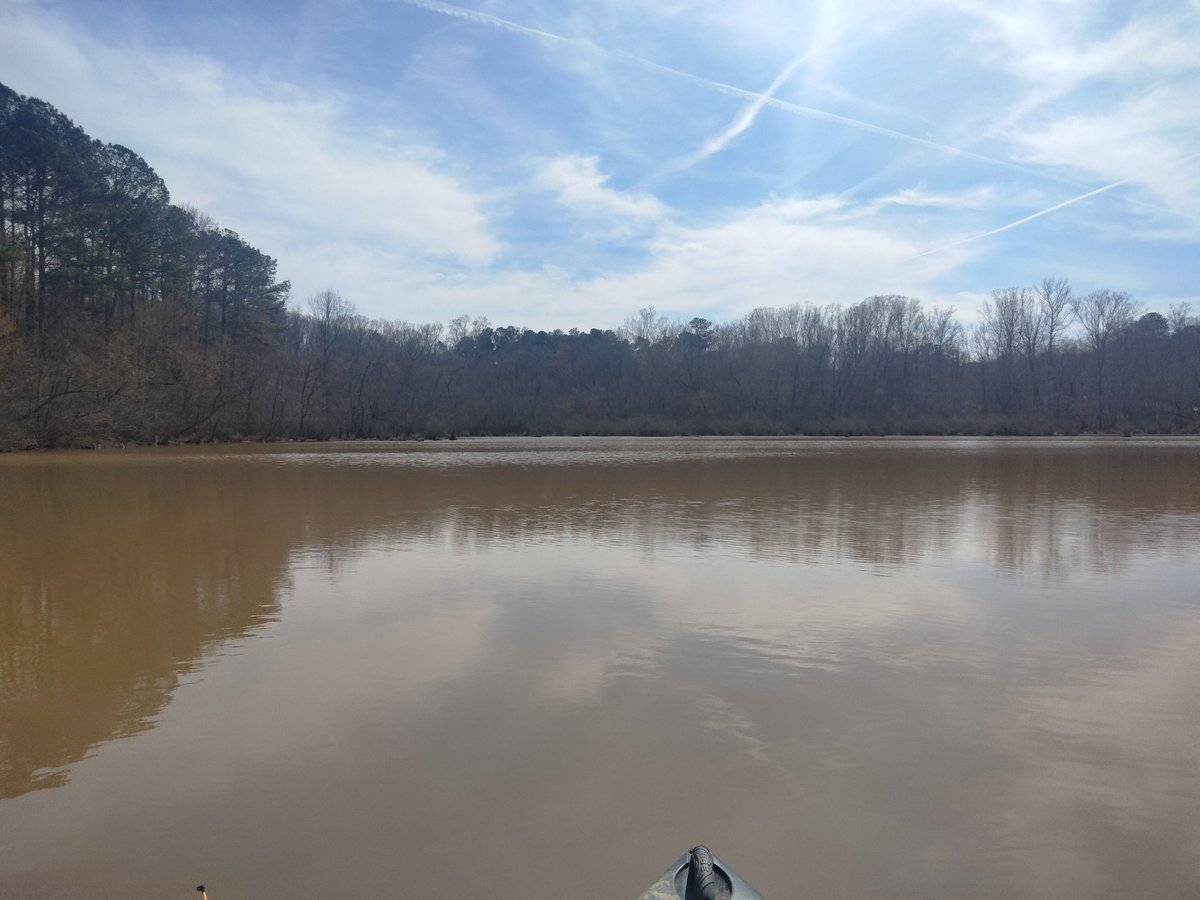 When hatred,anger and fear mongers are out trying to stress you out. Try Nature.

Where I live the birds are starting to prepare nests for the spring. 

The flowers will start blooming soon. 

And the fish will start building their beds. 

My go-to is fishing. I put them back if