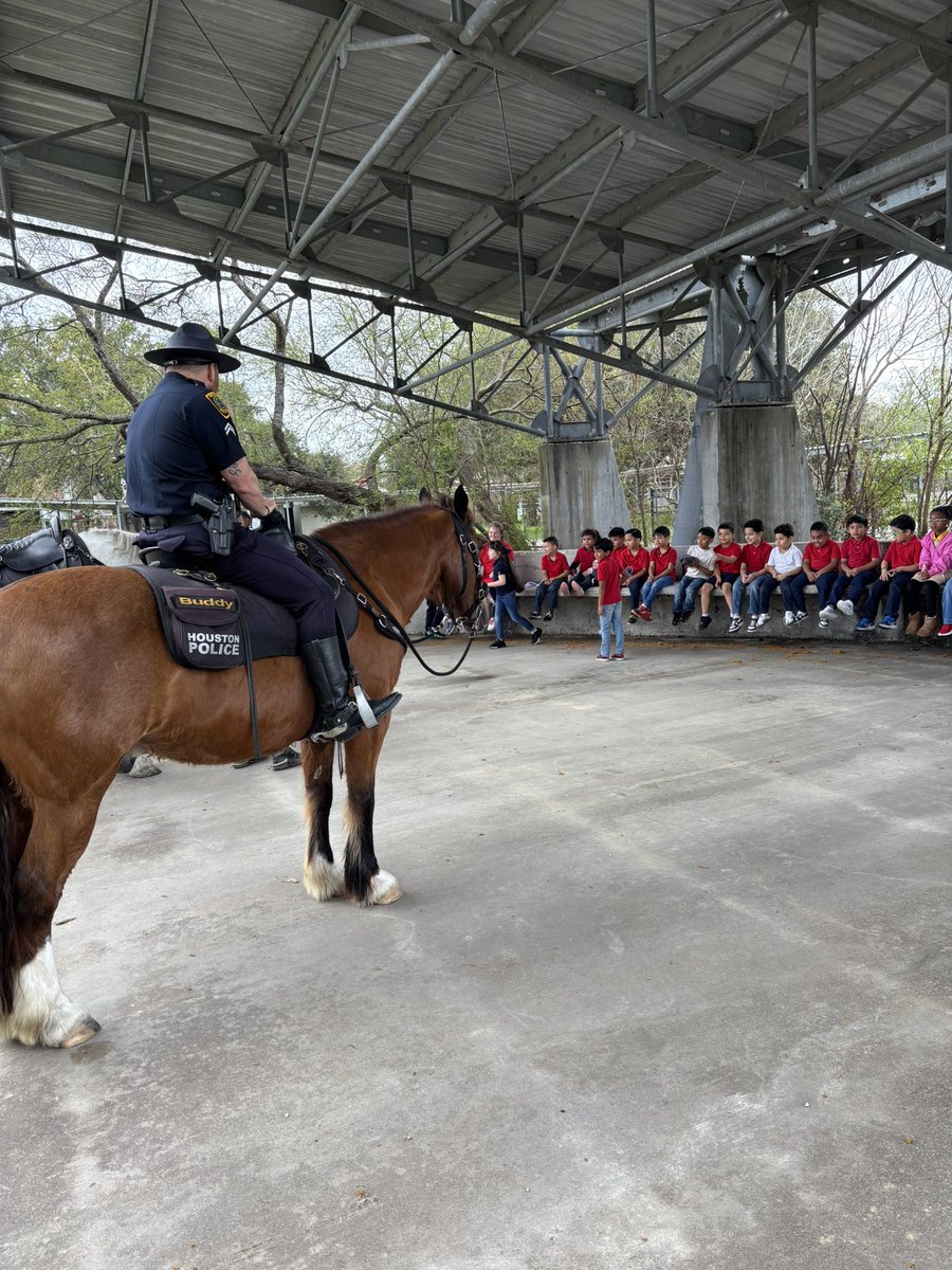 Red Elementary STEM Magnet School tweet media