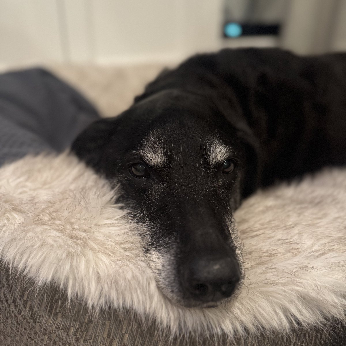 Brandi Kruse tweet media