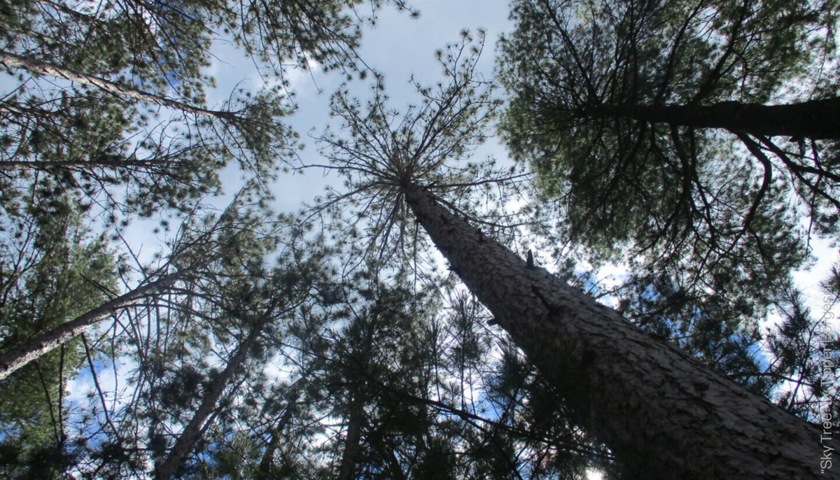 The Roberta Bondar Foundation tweet media