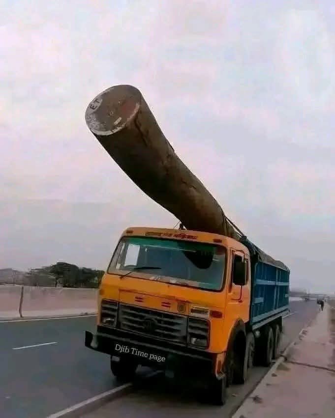 _DivineSolution's tweet photo. Israel and America shaking in fear as Gumi and  the Sultan of Sokoto (in Northern Nigeria) get their nuke ready to obliterate the two nations. 

Pray for America and Israel. 😭🙏 https://t.co/rnKU7CiAYq