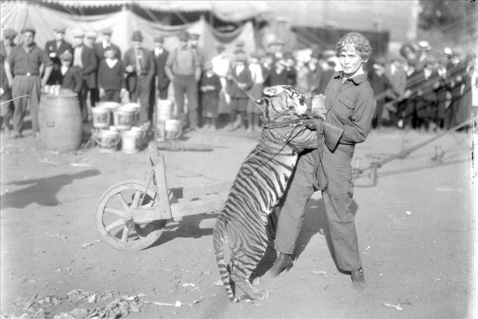 MENAFN's tweet image. The Inspiring And Tragic Story Of Mabel Stark, America's Most Famous Female Tiger Trainer #Inspiring #Tragic #Story #Mabel #Stark, #America's #Most #Famous #Female #Tiger #Trainer #USA #Russia #Biden #Ukraine #War #Palestine #Gaza #Israel # dlvr.it/TRGmsP