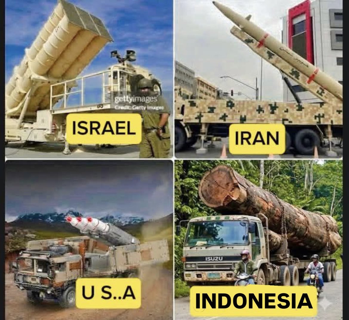 geckooooO tweet media