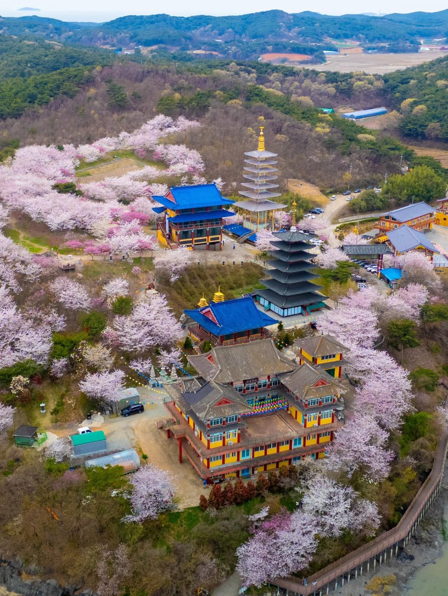 Saran🤍 tweet media