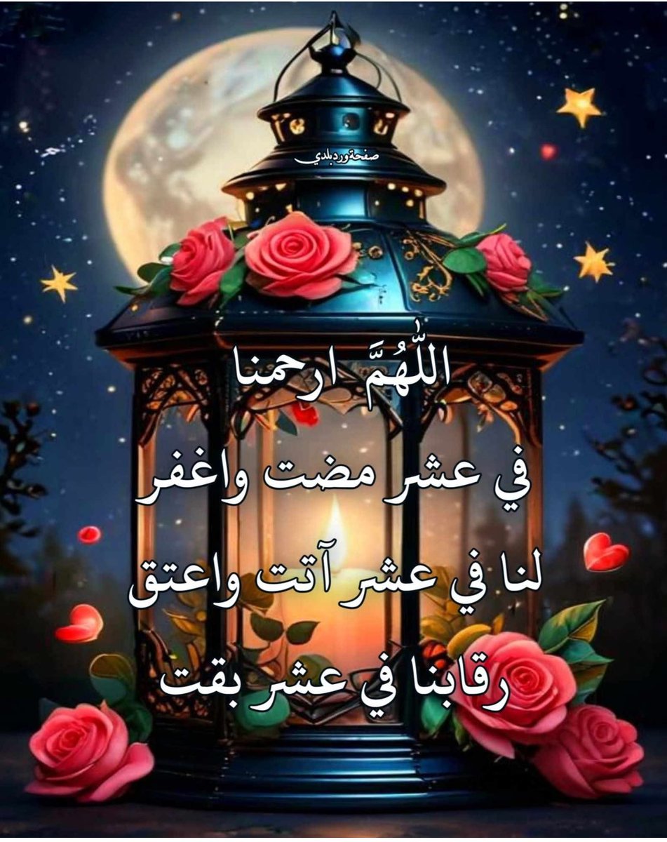 ام محمد tweet media
