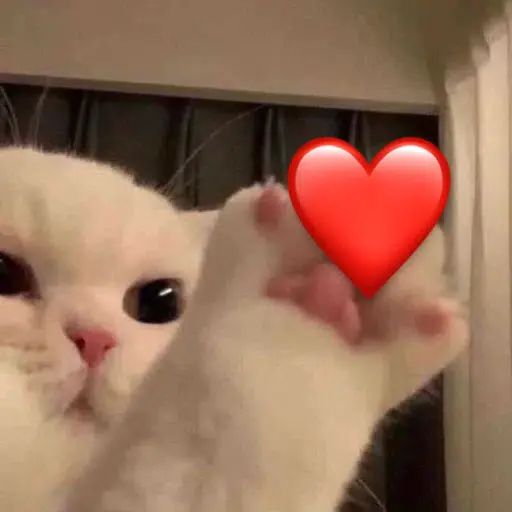 lulix тгк: tijay44 tweet media