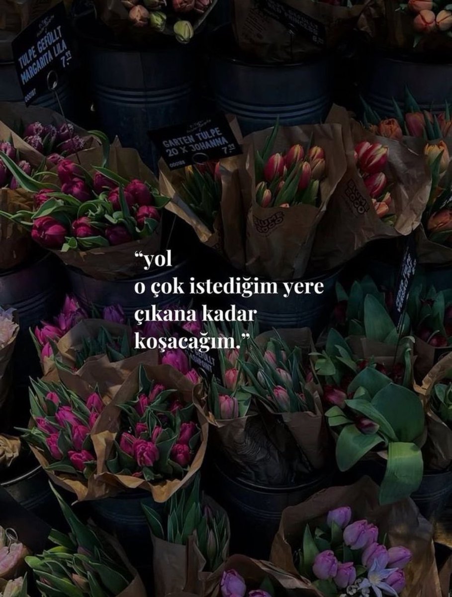 furkan (@furkannonaall) on Twitter photo 