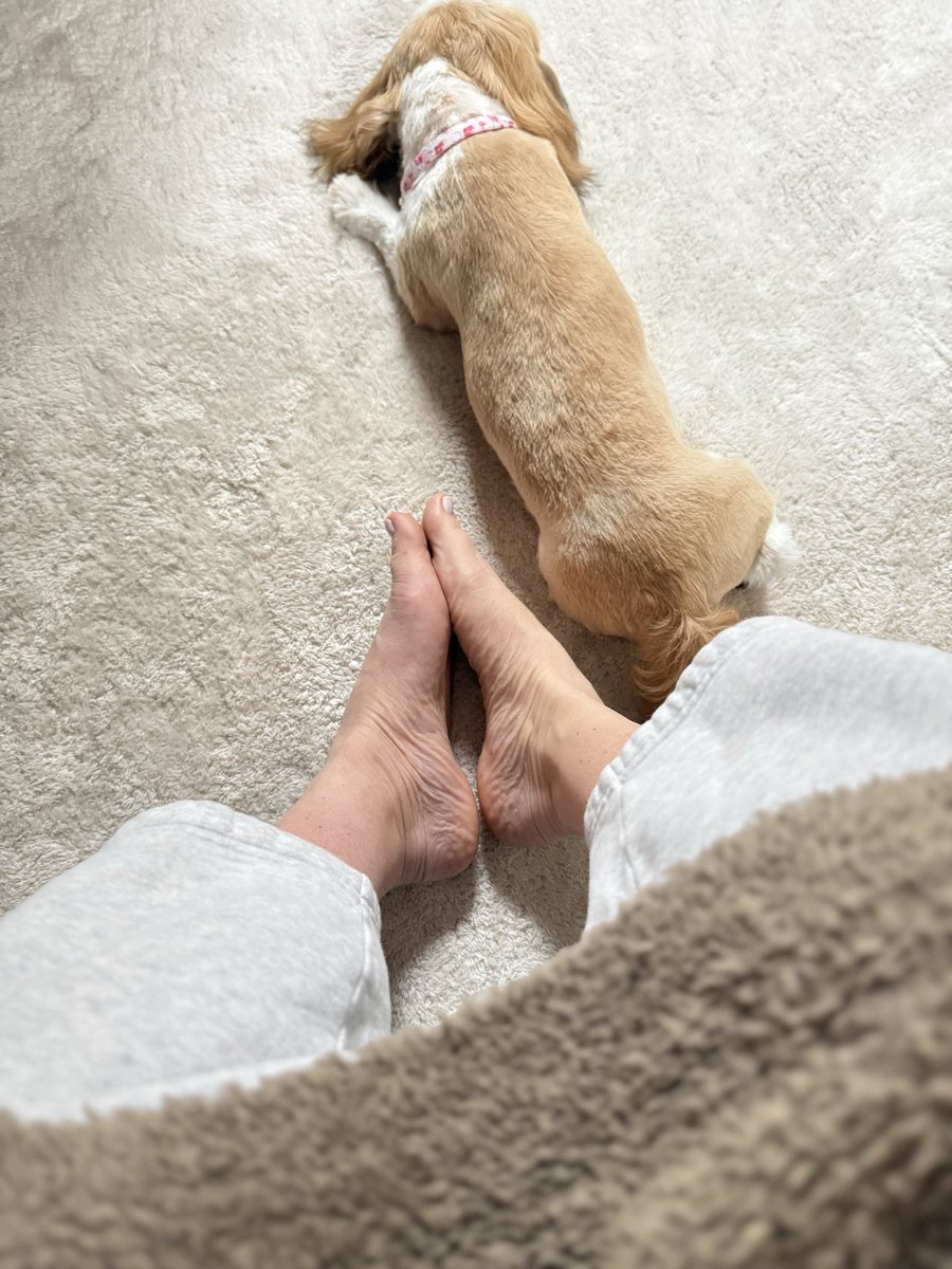 princessdLanie's tweet photo. “My little dog — a heartbeat at my feet.”
#soles #feetfetısh #feetlover #whosbuying #nakedfeet https://t.co/Cj8HV83Wdv