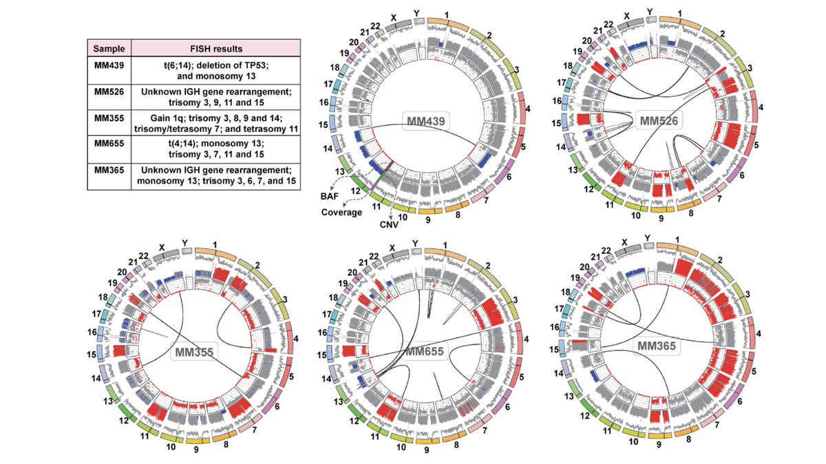 Phase Genomics tweet media