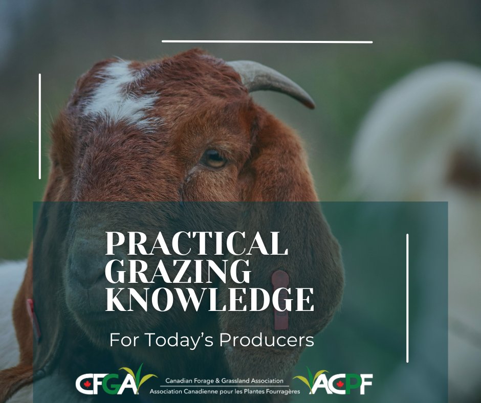 CFGA_ACPF tweet media