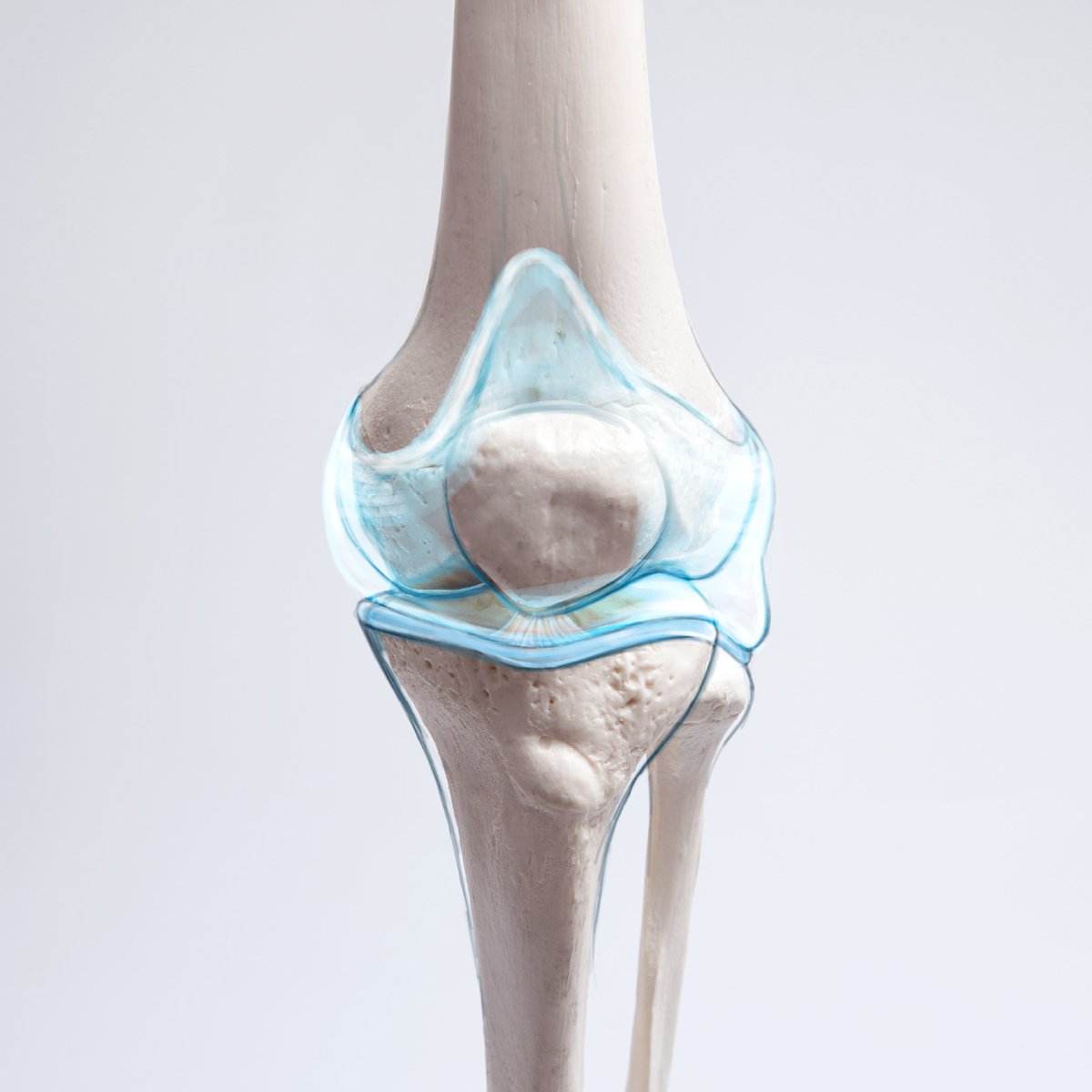 American Elements tweet media