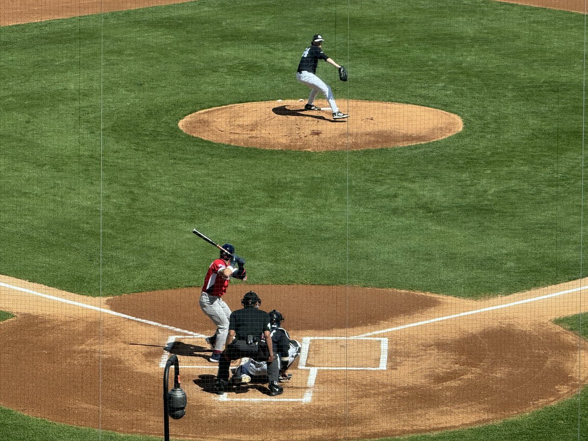 Edgardo Vidal tweet media