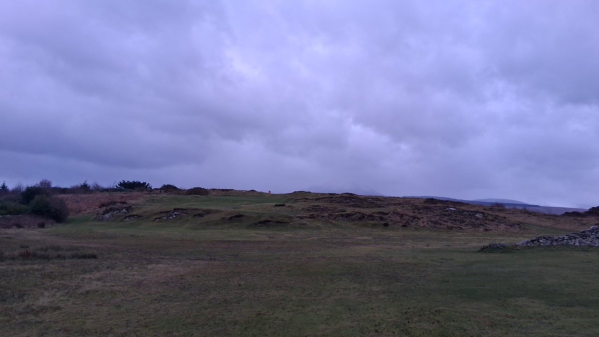 Nuts & Colts tweet media