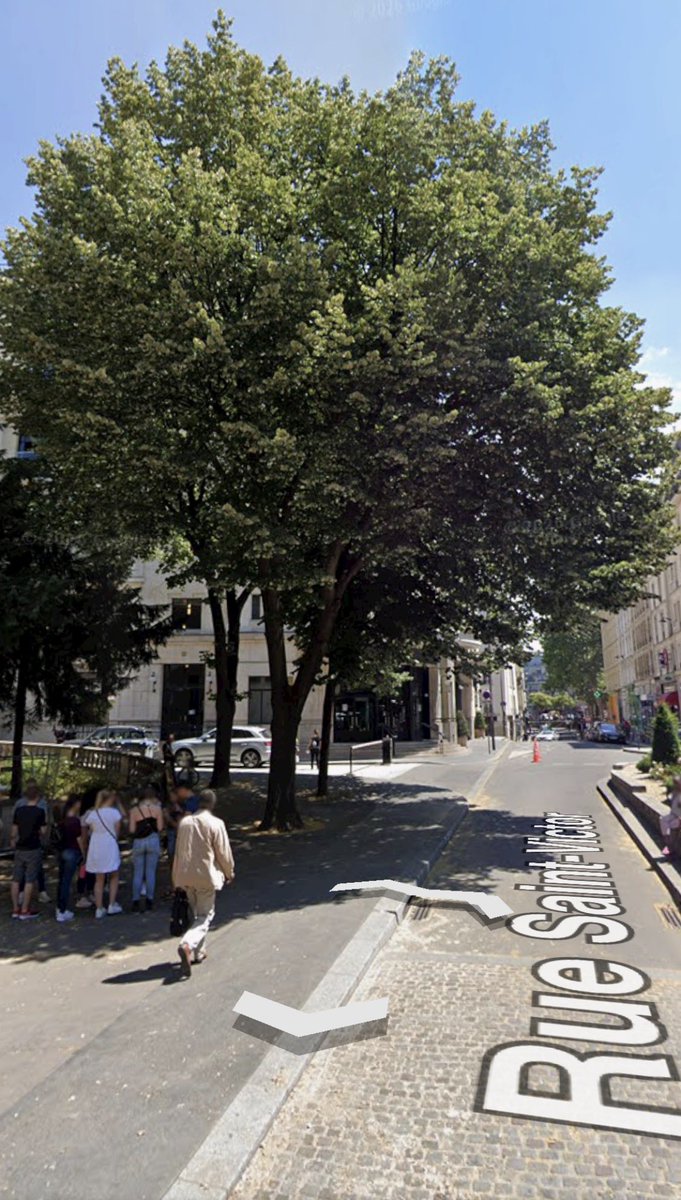 ChaRocher's tweet photo. La gauche se vante de planter des arbres et de végétaliser Paris.

Dans la réalité :

AVANT.                                    APRÈS. https://t.co/exR16rjOER