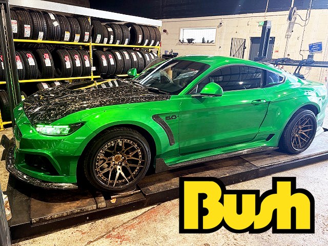 Bush Tyres tweet media