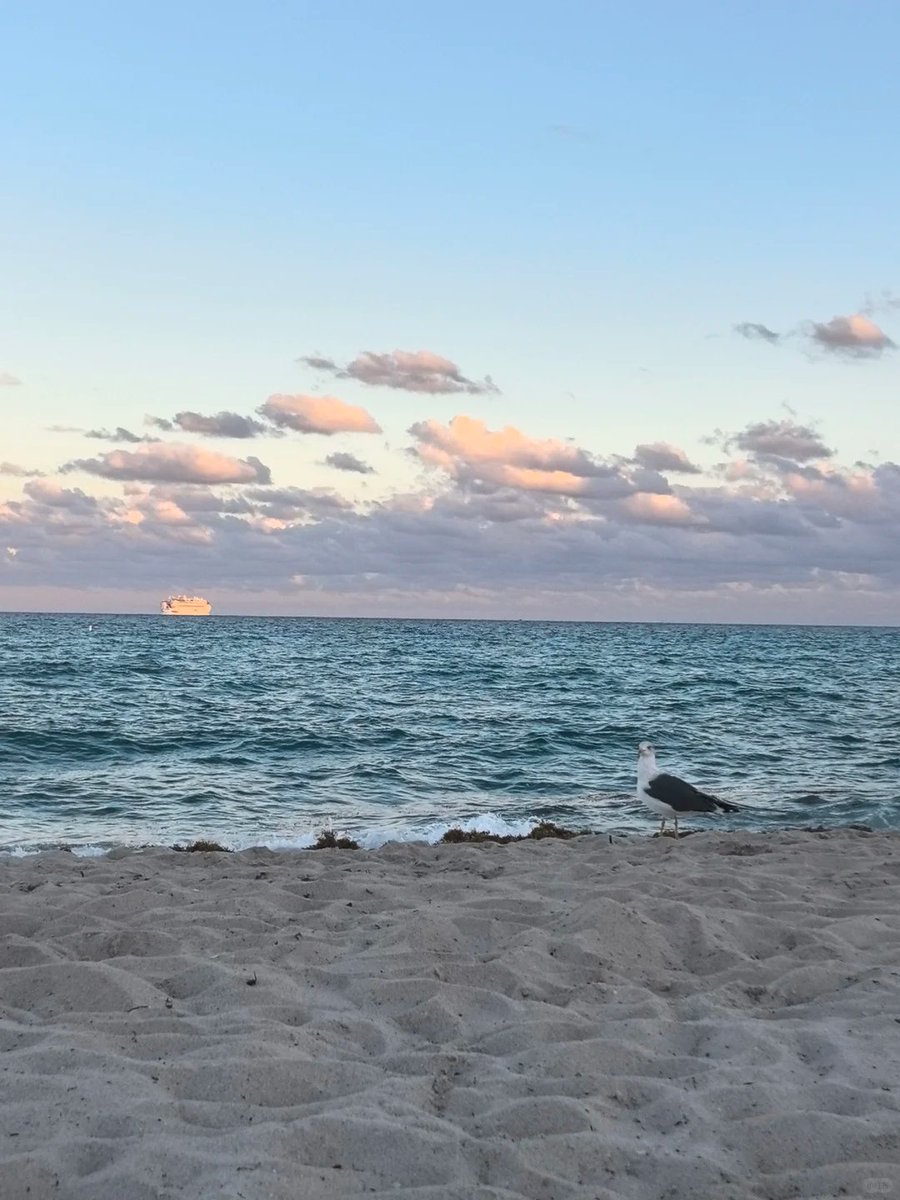 Wanderingrrr's tweet photo. Calm waves, endless horizons. https://t.co/0XfoenyJJl