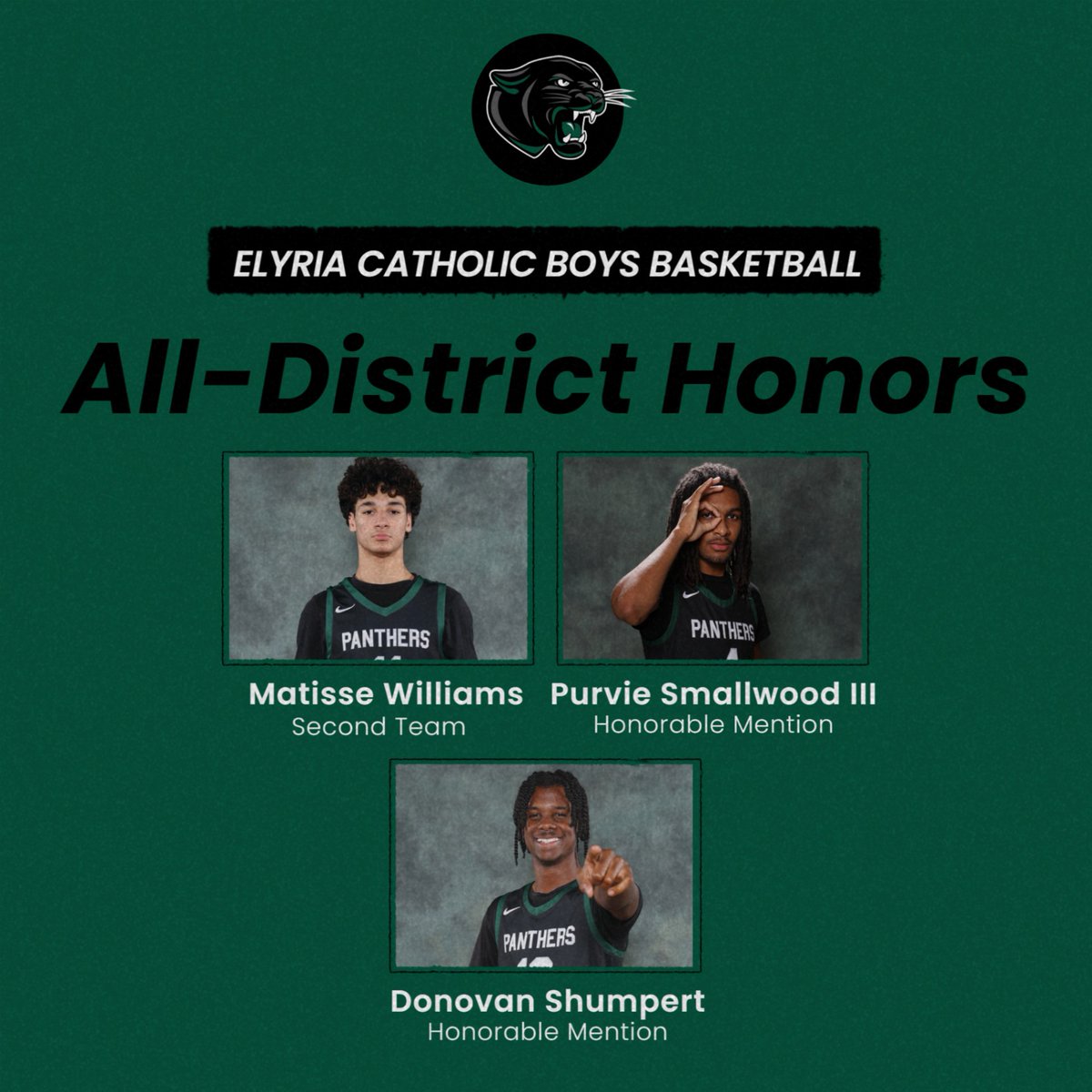 Elyria Catholic Athletics tweet media