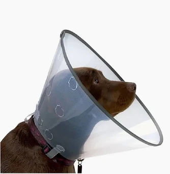 Local Tourist tweet media