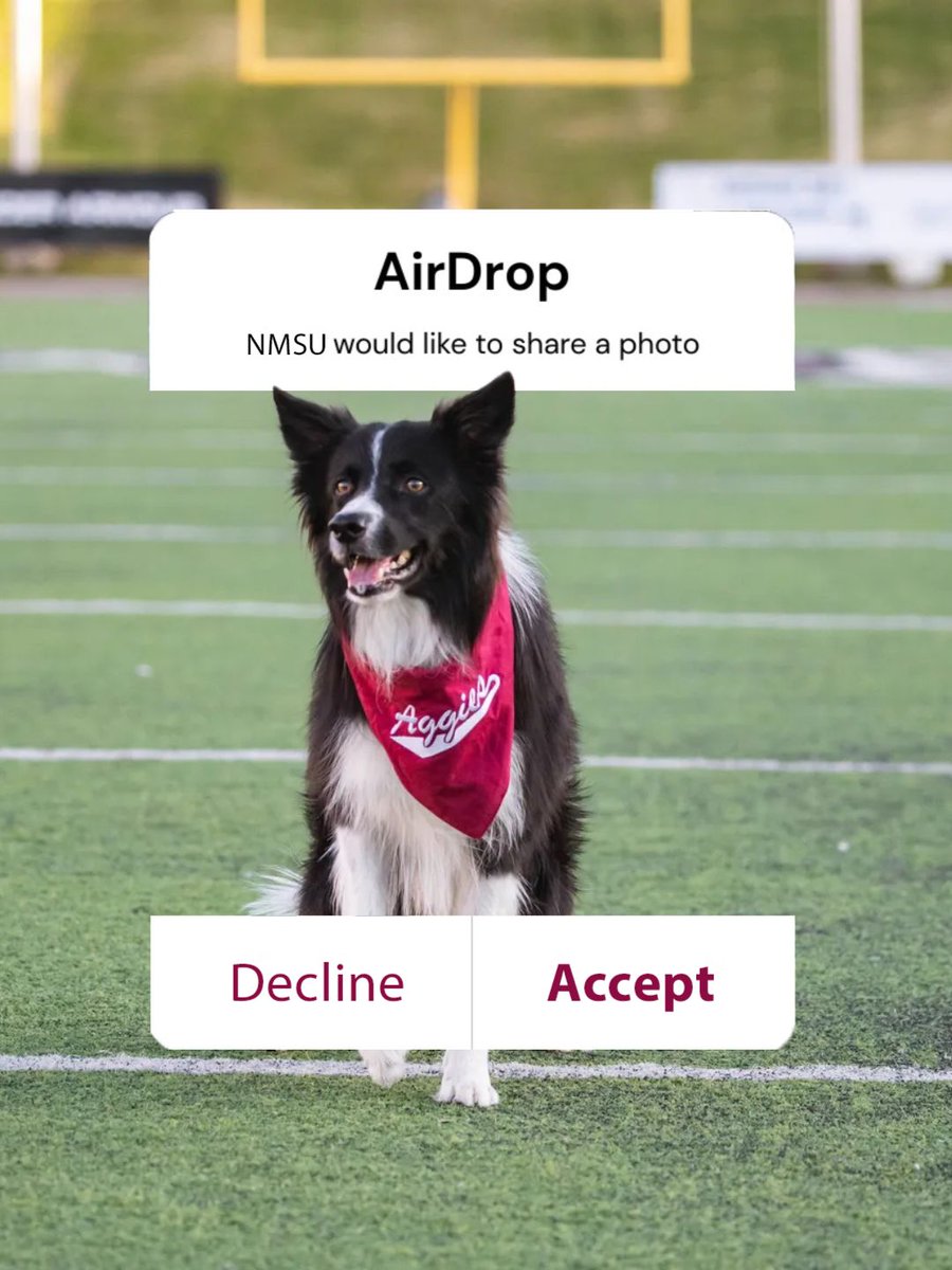 New Mexico State tweet media