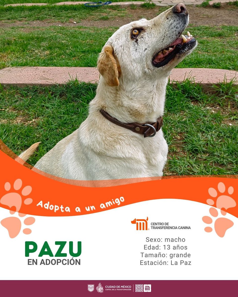 MetroCDMX tweet media