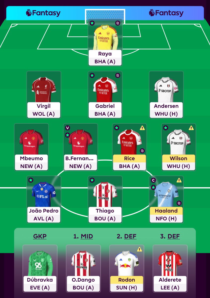 FPL Fairy (Steve) tweet media