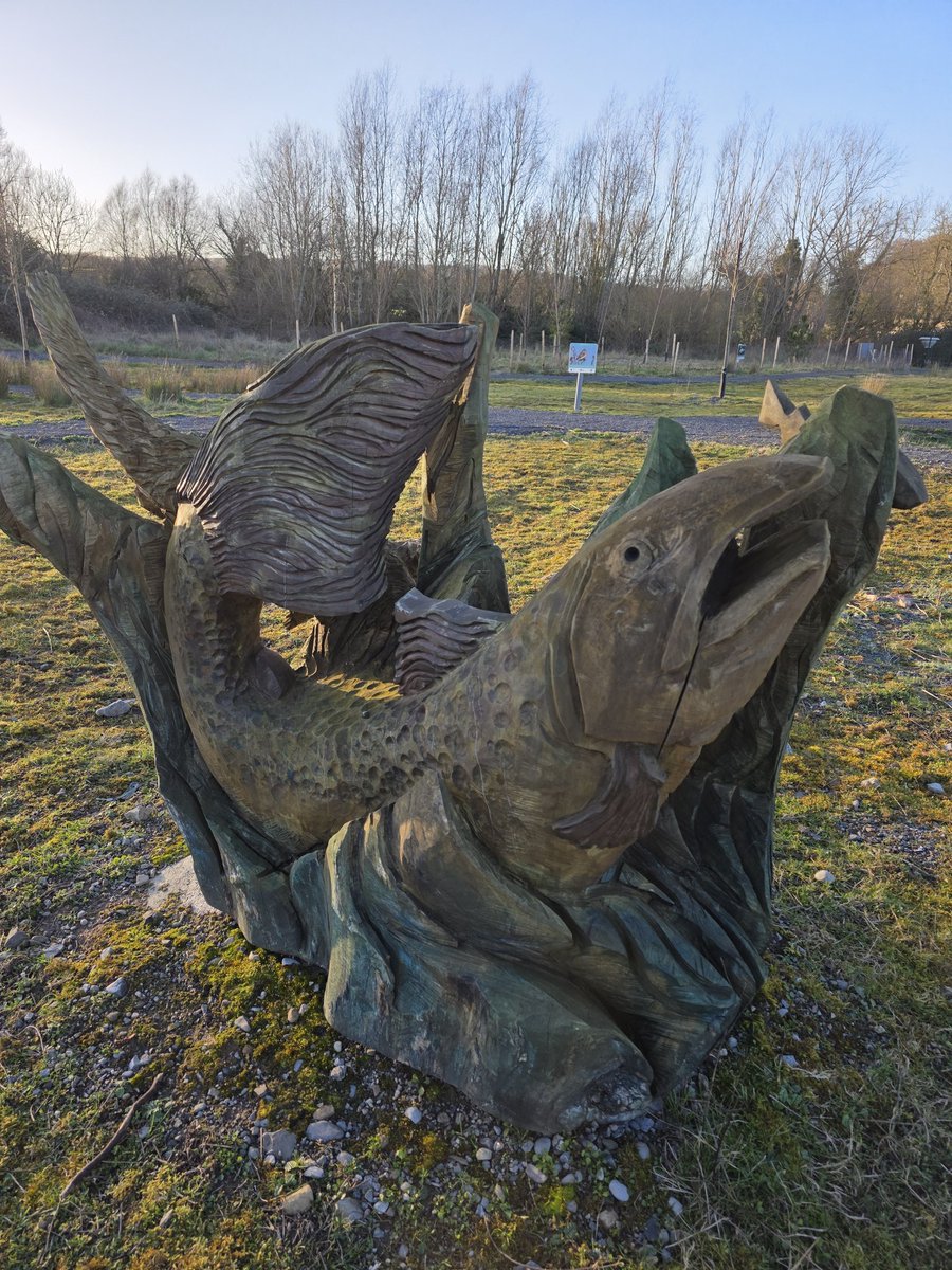 respecting nature tweet media