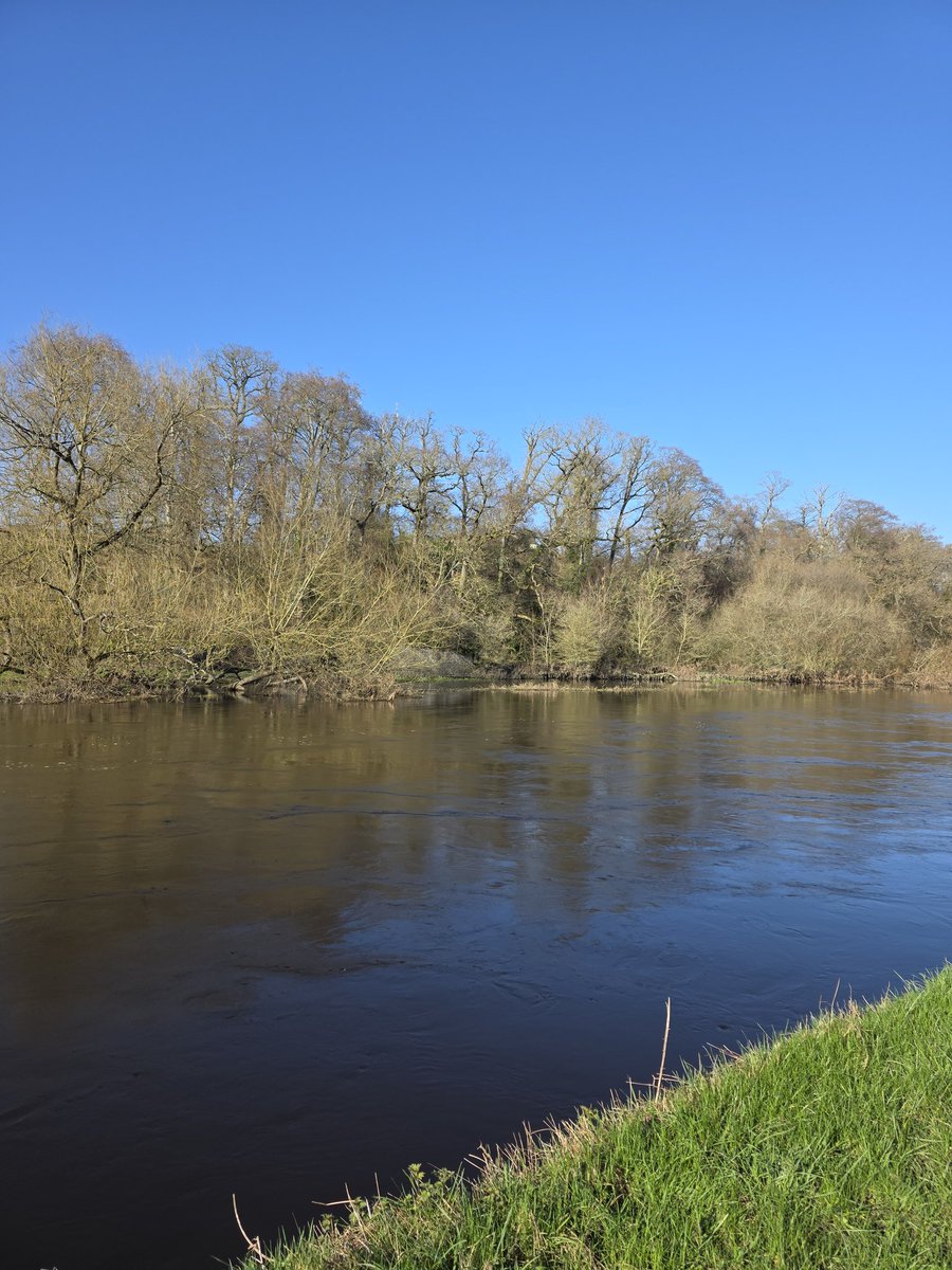 respecting nature tweet media