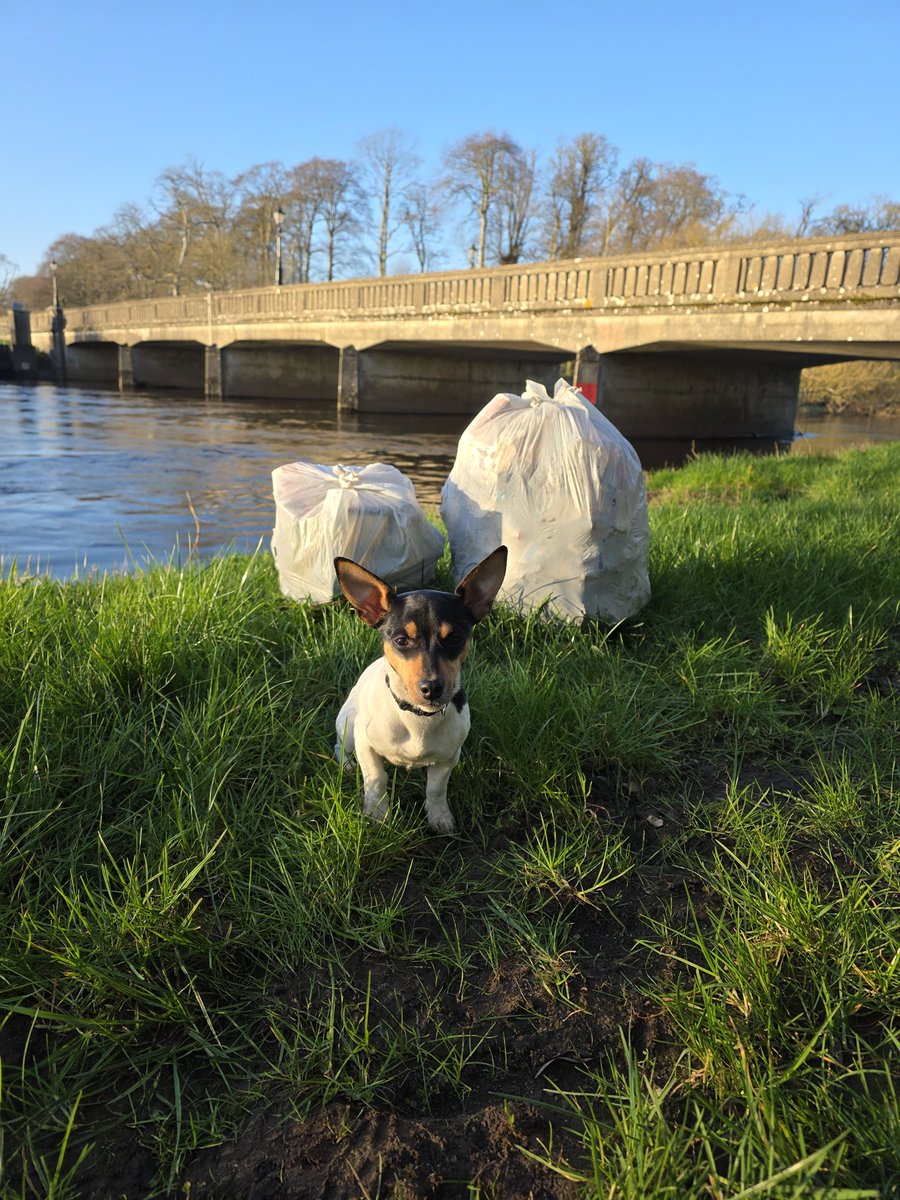 respecting nature tweet media