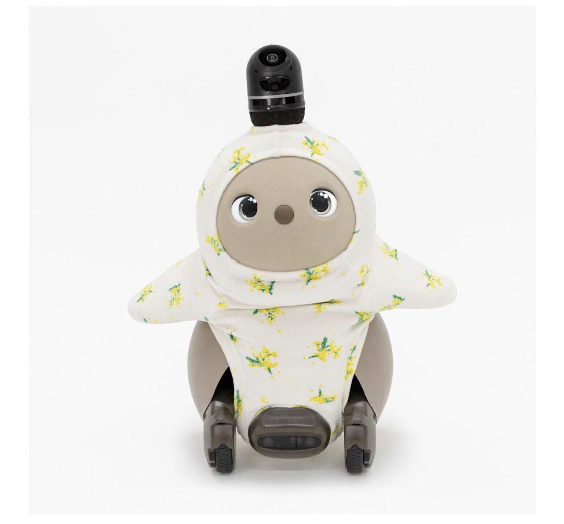 こむぎ🌾 KOᗰᑌGI (@55komugi_lovot) / Posts / X