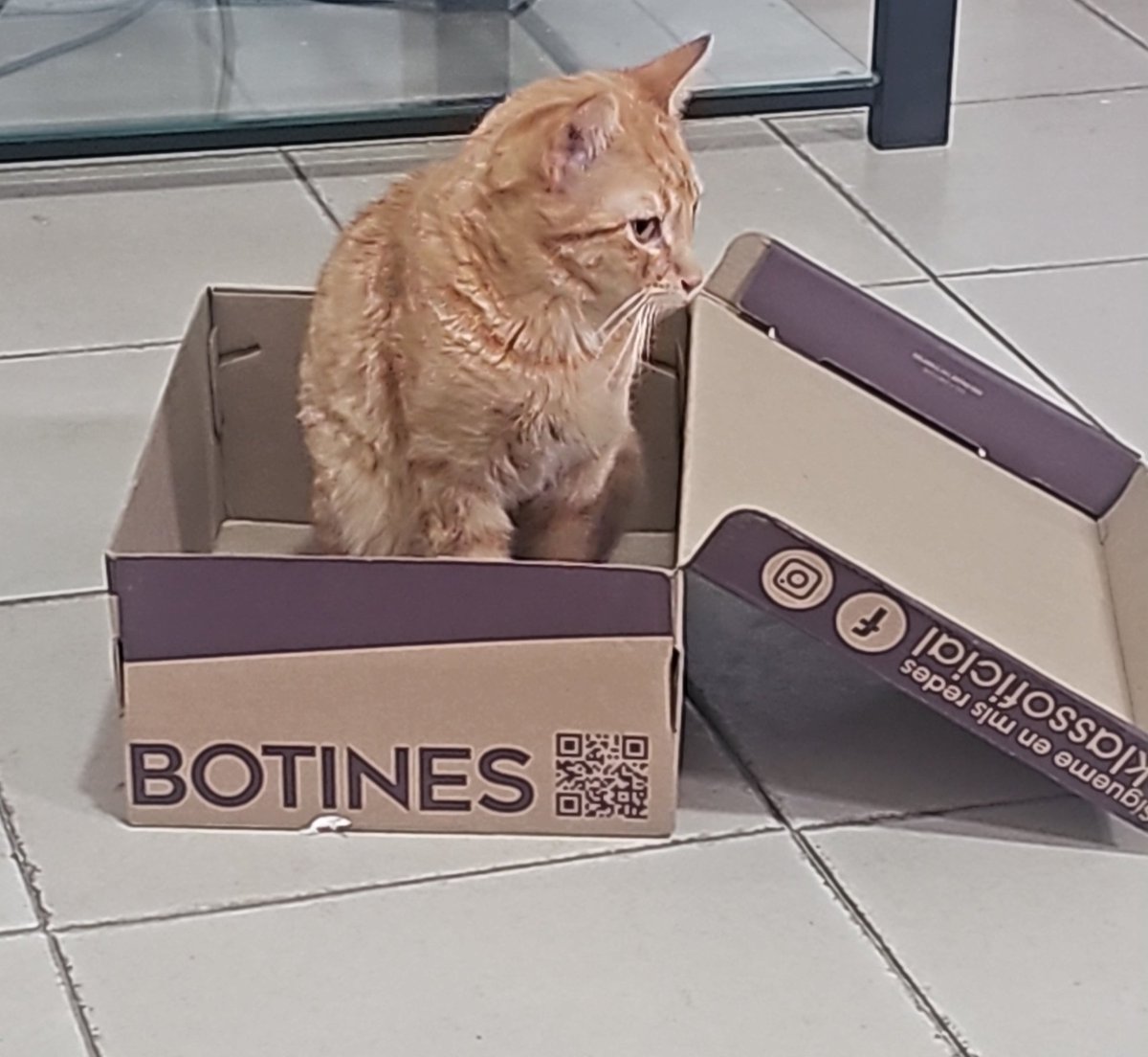 M0ony 🏳️🌈🏳️⚧️ tweet media