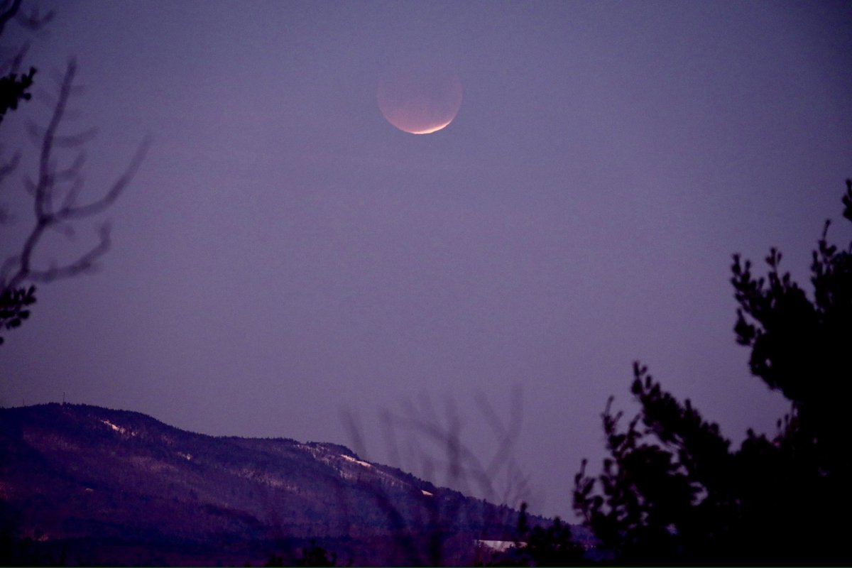 David Weaver tweet media