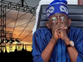 BREAKING: Nigeria to Face Total Darkness as Electricity Workers Activate Strike After 21-Day Ultimatum parallelfactsnews.com/nigeria-to-fac…