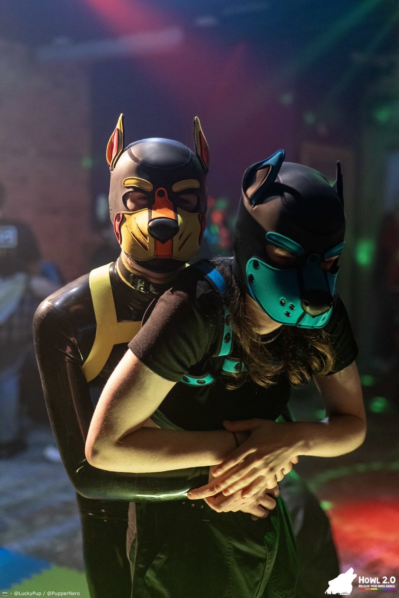 Pup Newt tweet media