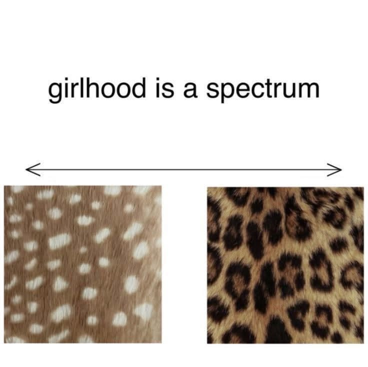 𝖈𝖍𝖆𝖇𝖆𝖟𝖎𝖙𝖊 (@raisinchoirgirl) on Twitter photo 