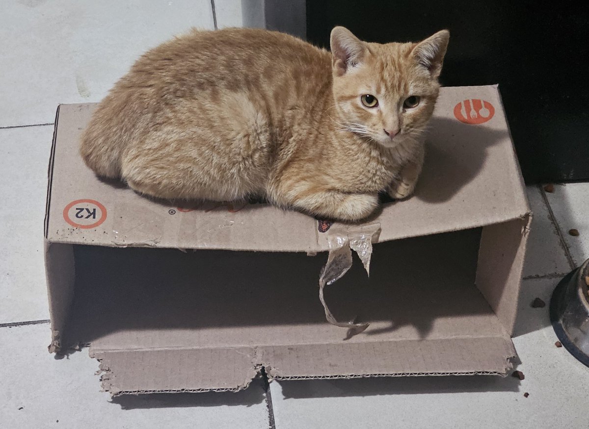 M0ony 🏳️🌈🏳️⚧️ tweet media