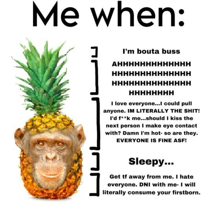 pineapple chimp tweet media