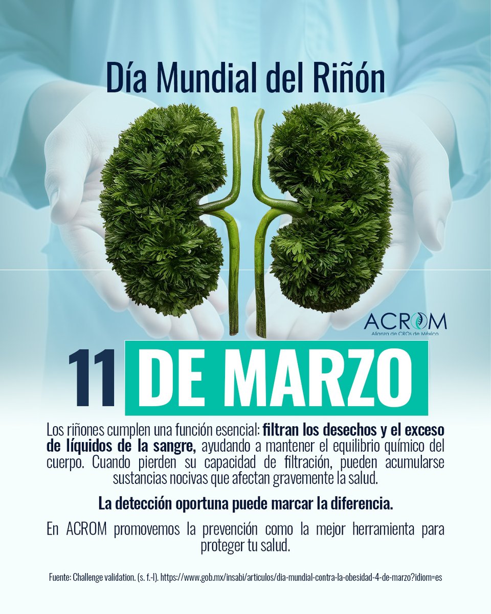 Este 11 de marzo, en el Día Mundial del Riñón, recordemos que la prevención y los hábitos saludables pueden evitar complicaciones graves.🍎

gob.mx/insabi/articul…
#ACROM #diamundialdelriñon #riñonessaludables #riñones