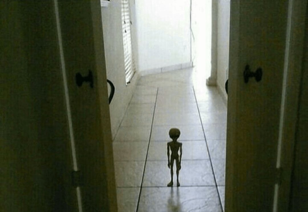 ᅠ⤸꒷꒦ ﹅ Σ ꜝ tweet media