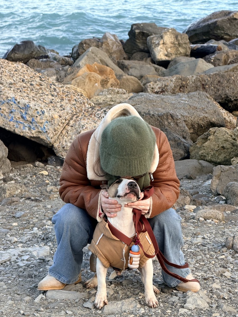 тревожная масса tweet media