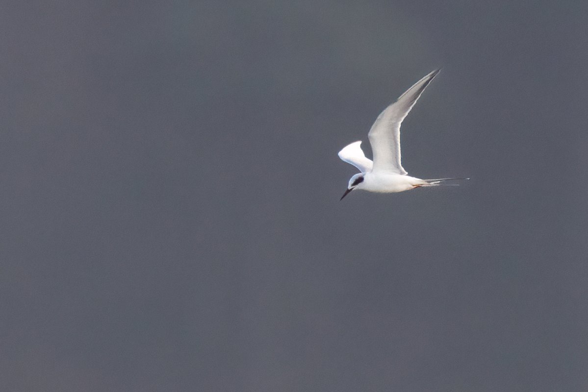 Mark Wright tweet media