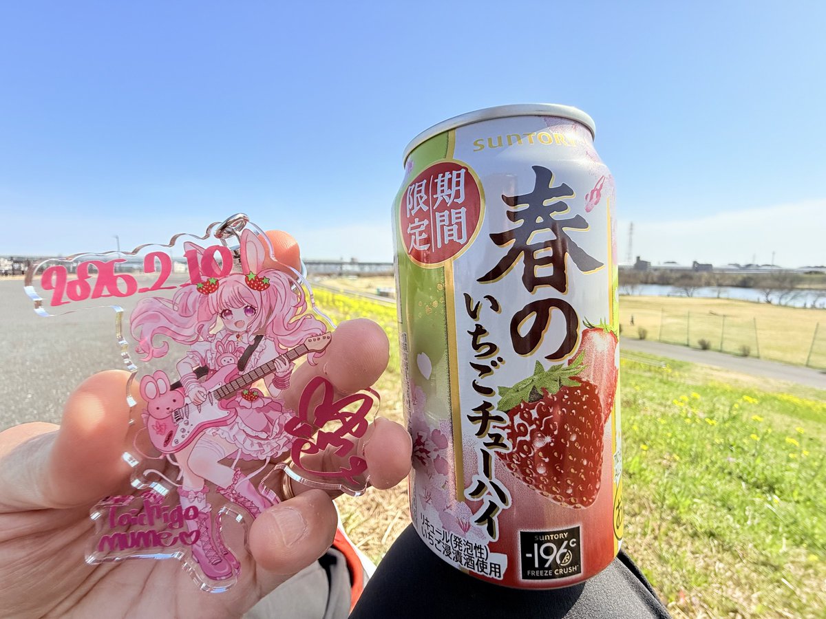 兎苺むめ🐰🍓3/23 21:00初配信 (@toichigo_mume) / Posts / X