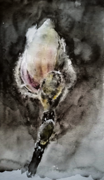 White Moth tweet media