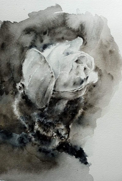 White Moth tweet media