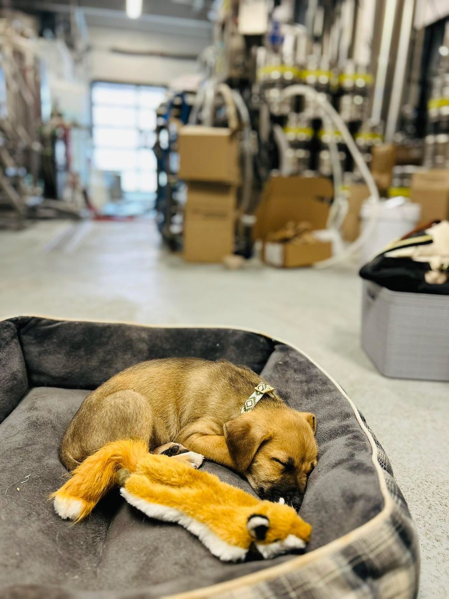 Jukes Ale Works tweet media