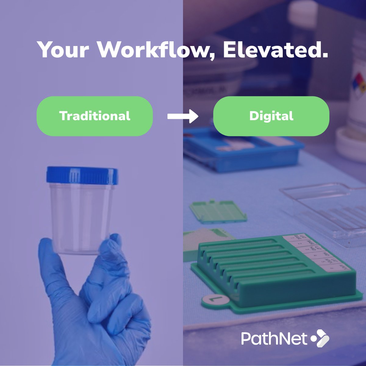 PathNetLab tweet media