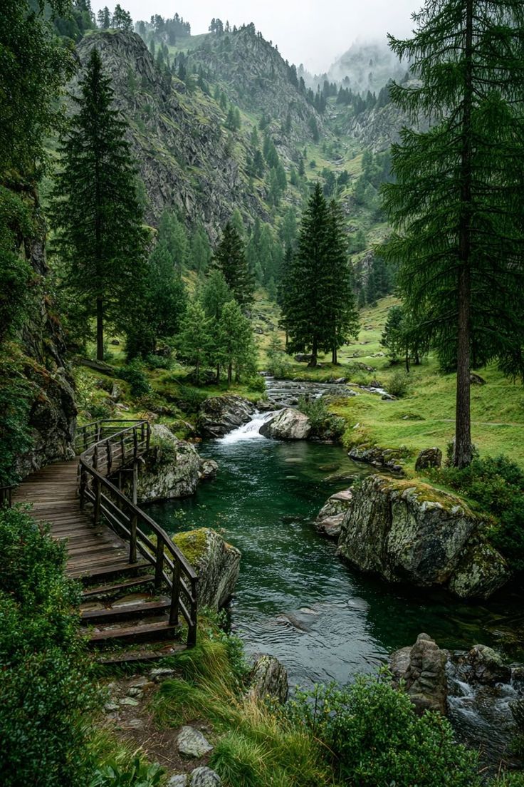 Beauty of Nature 🥀 tweet media